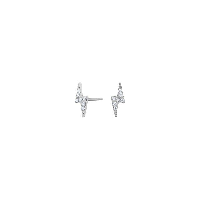 Pure Titanium Nikkelfri øreringe 30150163700