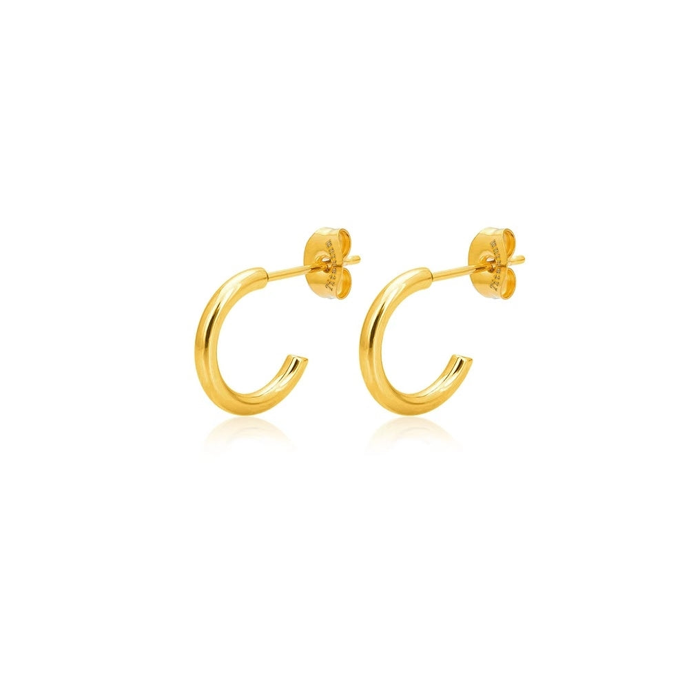 100% Titanium Hoops i forgyldt titanium små
