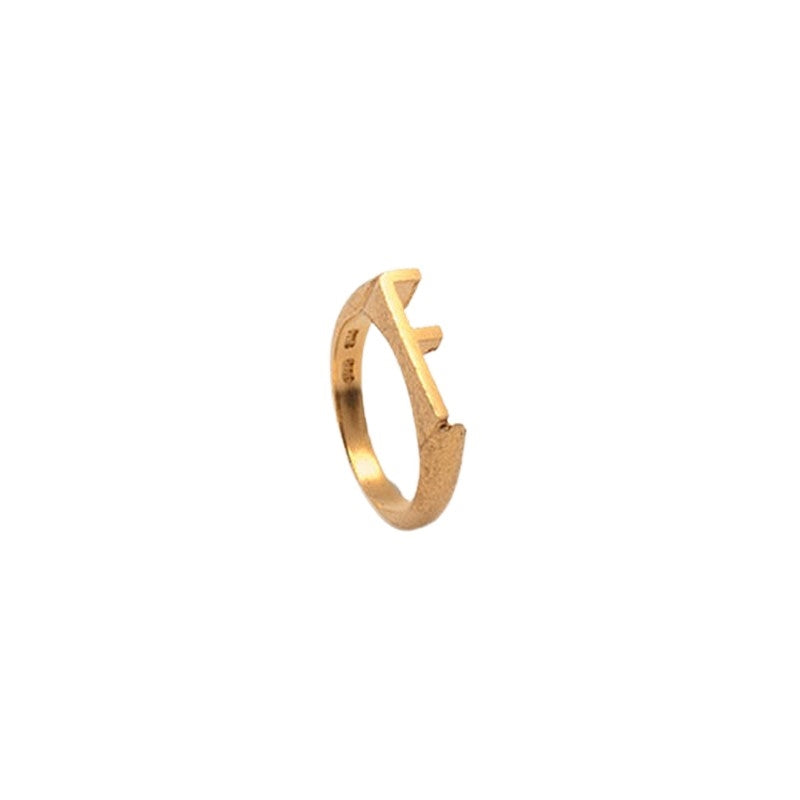Initials Ring i forgyldt sølv med bogstaver