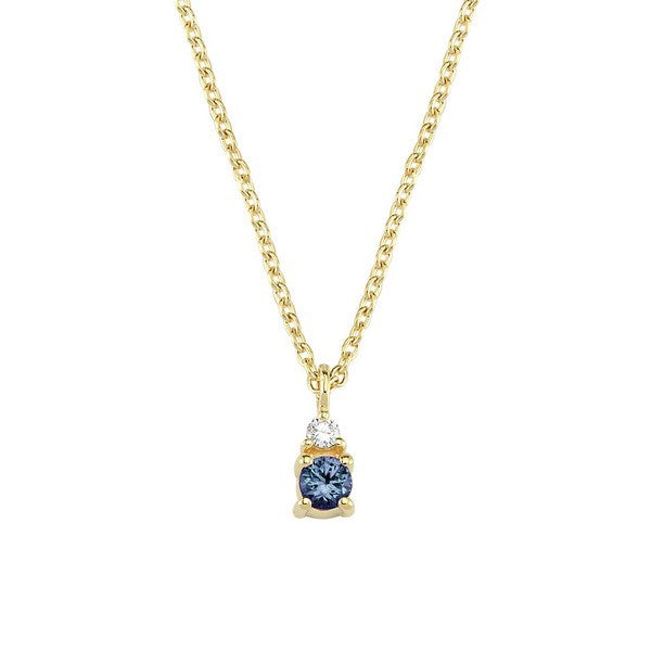 Petit rund - Safir halskæde i 14 kt. guld - V1110