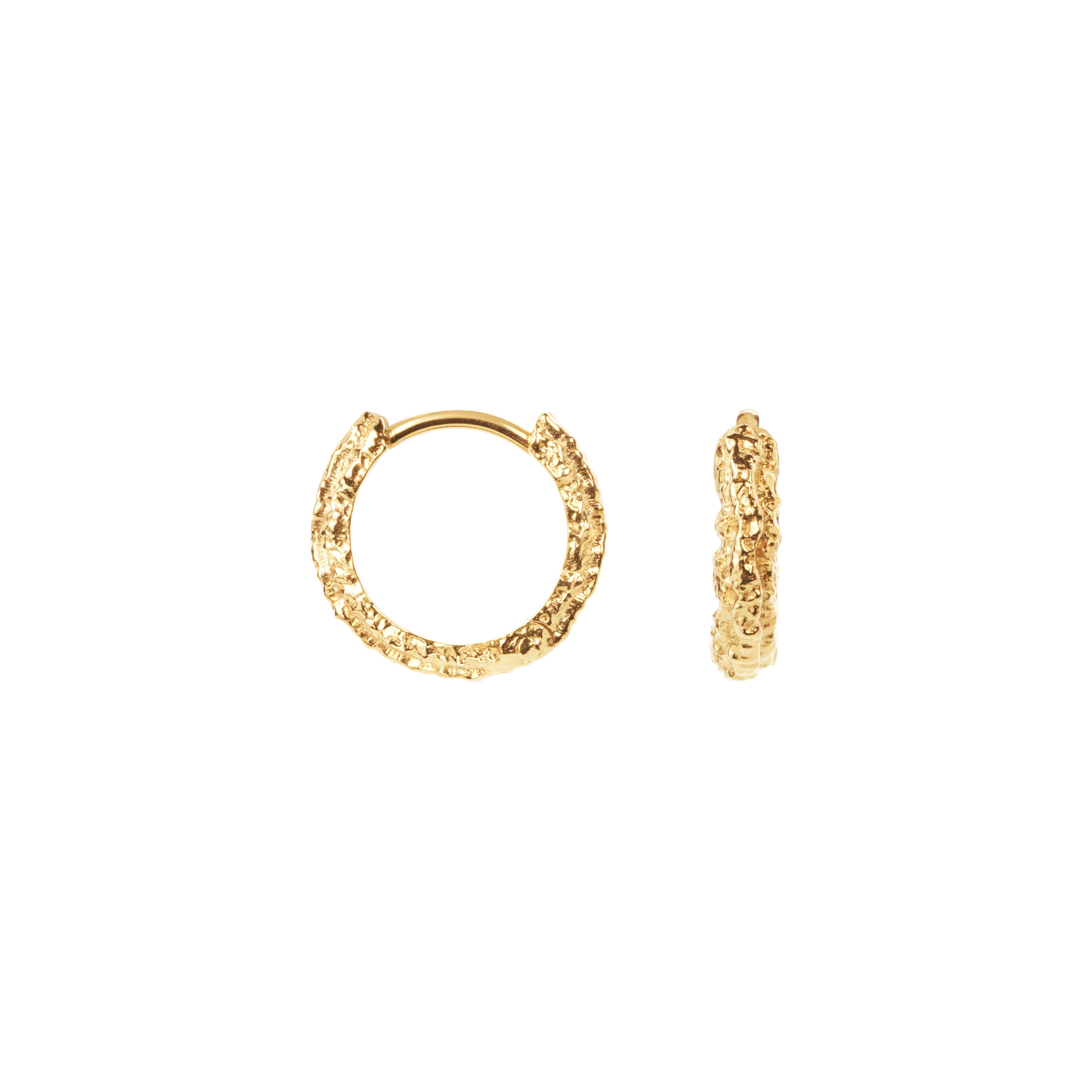 Camille Brinch Small Sparkly Hoops forgyldt