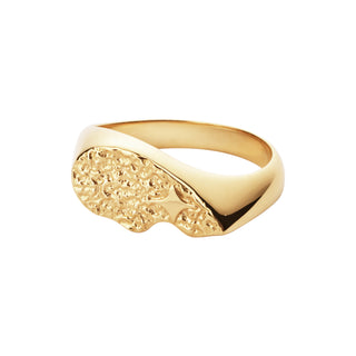 Camille Brinch Textured BFF Sparkly Ring forgyldt